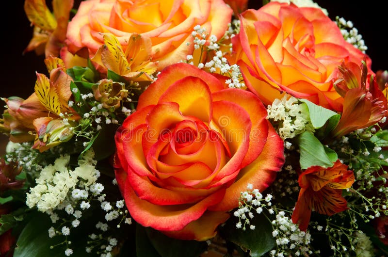 Orange Roses Flower Bouquet Stock Photo Image of green, flower 27571482