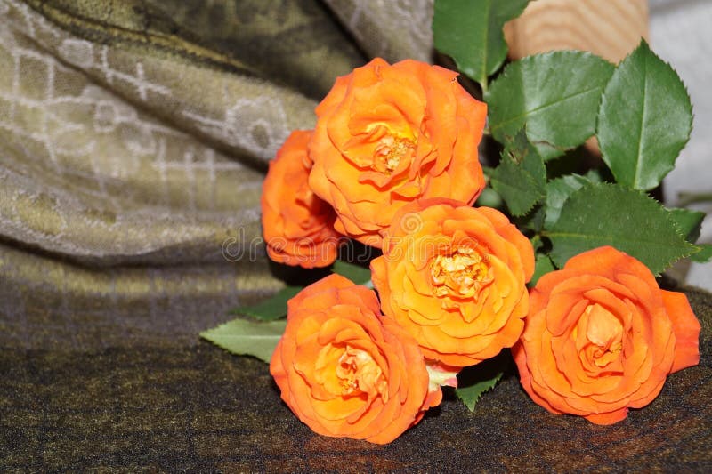 Silk orange roses stock image. Image of roses, orange 10771575