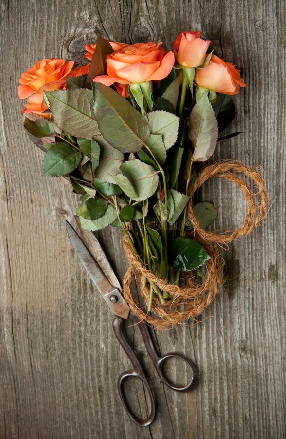 Orange roses and old scissors