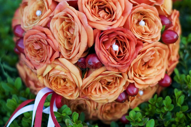 Orange Roses Round Wedding Bouquet Stock Photo Image of engagement