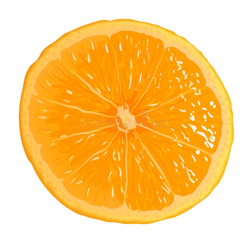 Vector illustration. Orange Segment . Gradient only. No mesh. It is organised on levels