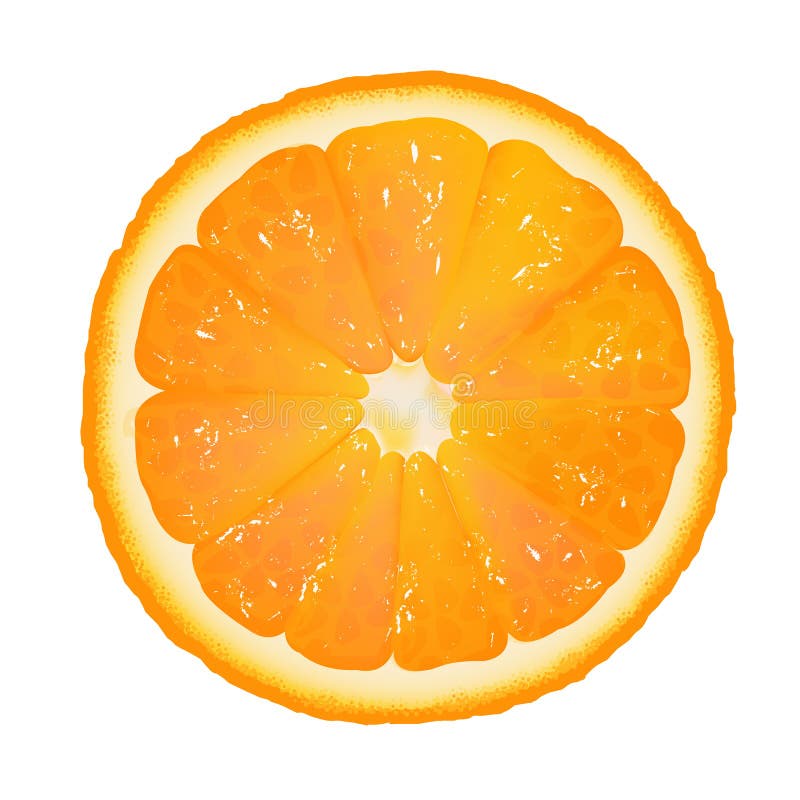 Orange Segment stock photo. Image of fresh, orange, citric - 23396988