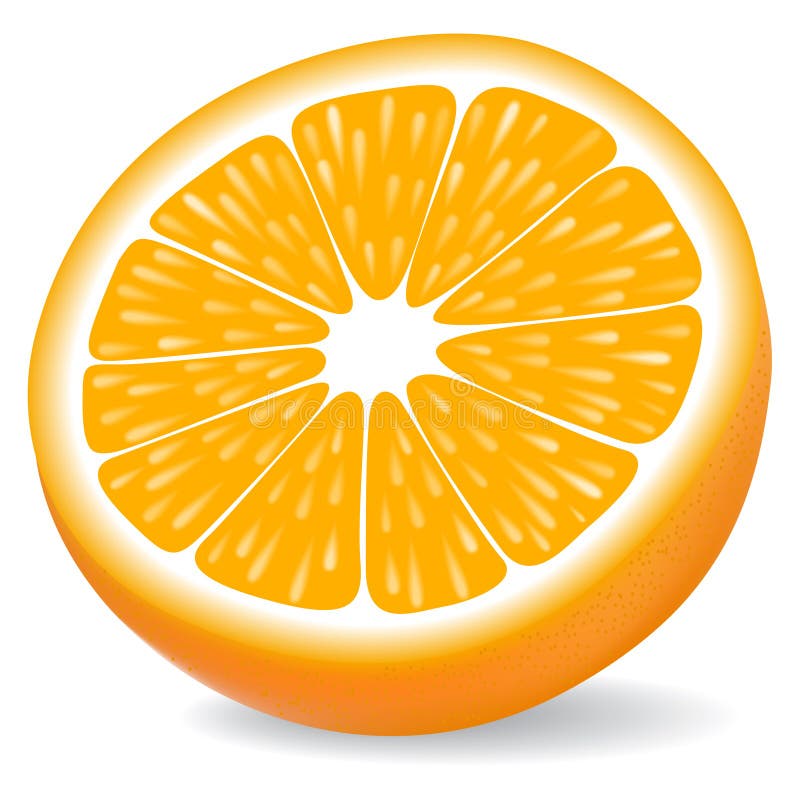 Orange segment isolated on a white background. Vector illustration.