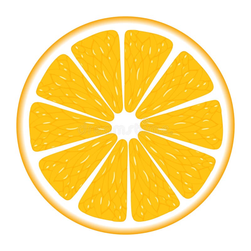 Orange segment isolated on a white background. Vector illustration.