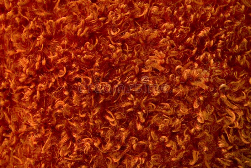 Orange shag carpet texture stock photo. Image of curly 3538950