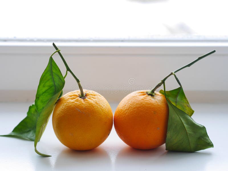 Orange sheets stock photo. Image of season, sheets, green 43216170