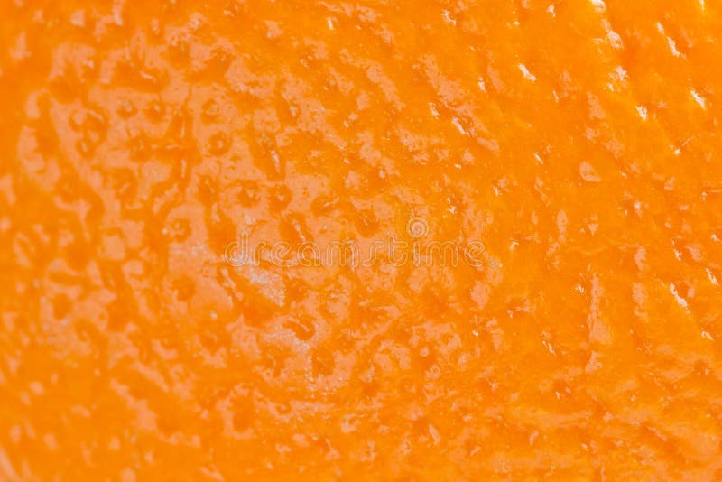 Orange Skin Stock Photo Image Of Health Fruit Skin 23773168