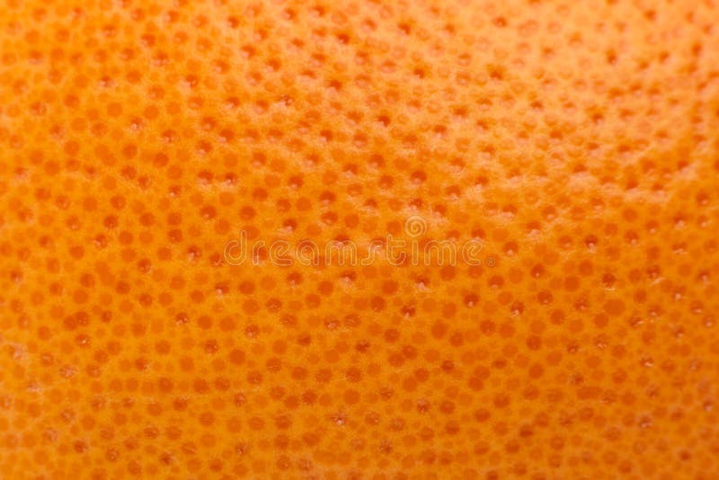 Texture Of Citrus Skin Stock Image Image Of Sweet Color 10963995