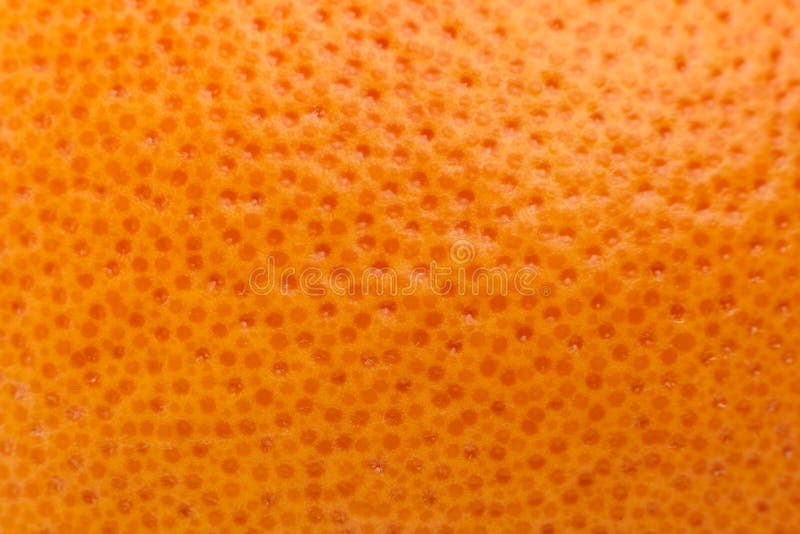 84 Background Orange Skin Free Download Myweb