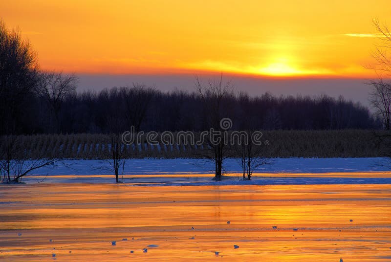 Orange Sky Over Winter Cornfield