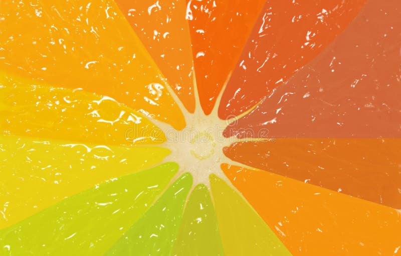 Perfect half of citrus in different colors, background. Perfect half of citrus in different colors, background