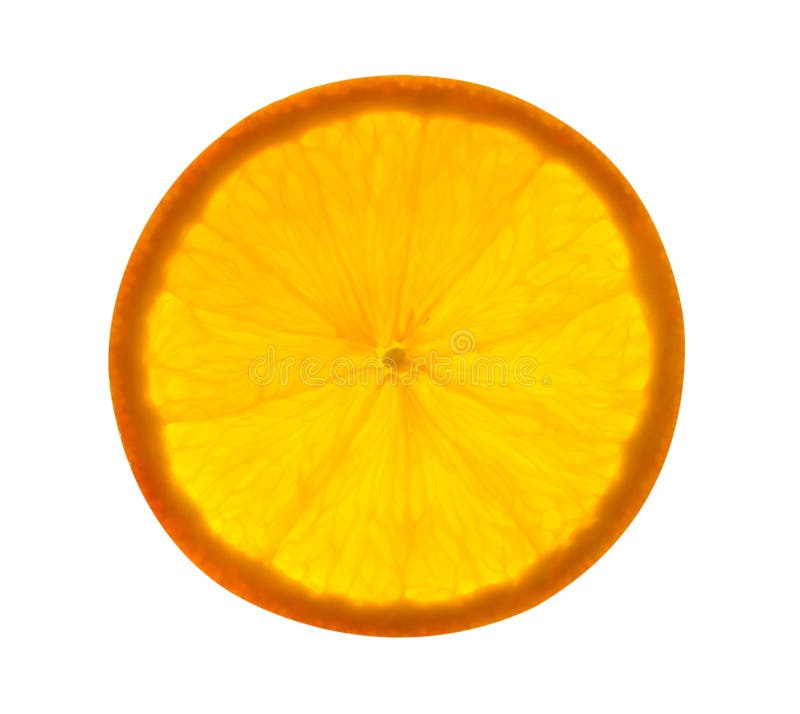 Orange Slice Isolated on White Background Stock Image Image of slice