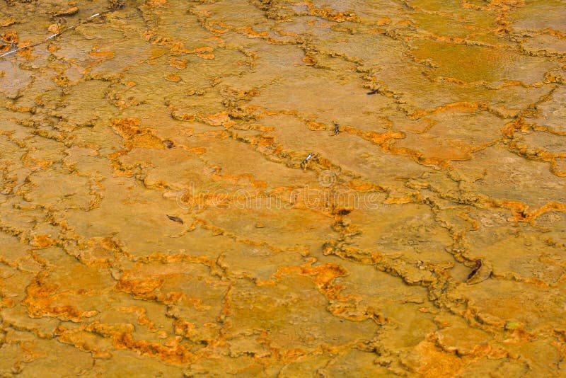 Orange soil. stock photo. Image of desert, natural, textured 28835476
