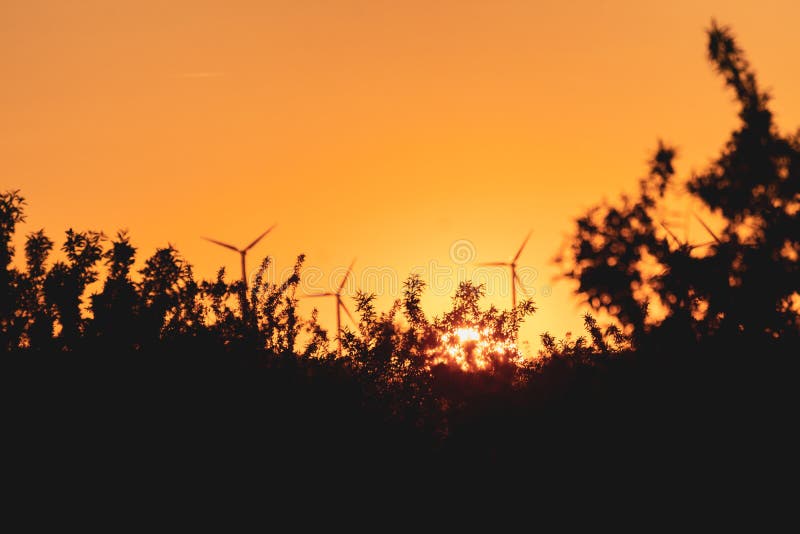 Orange solnedgång bland träd och väderkvarnar Magisk orange solnedgång runt om naturen och förnybara energikällor royaltyfri bild Orange solnedgång bland träd och väderkvarnar Magisk orange solnedgång runt om naturen och förnybara energikällor royaltyfri bild