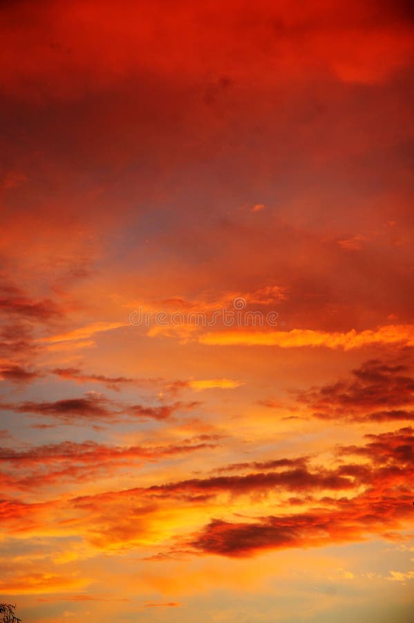 Orange solnedgång med moln i vertikal bakgrund