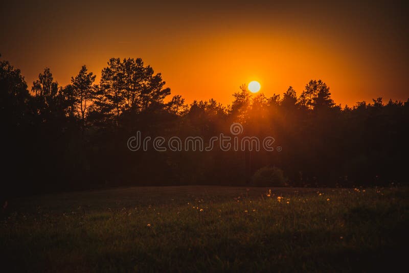 Orange summer sunset near forest and field royalty free stock image Orange summer sunset near forest and field royalty free stock image
