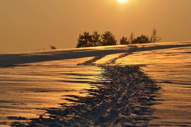 Orange sunrise in winter. Orange snow