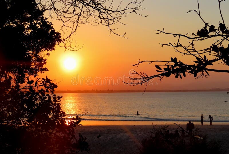 Orange sunset between trees in and beach with surfers stock images Orange sunset between trees in and beach with surfers stock images