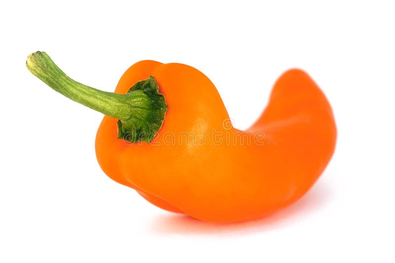 Orange/yellow sweet pepper. Isolated on white and focus on the stalk. Orange/yellow sweet pepper. Isolated on white and focus on the stalk.