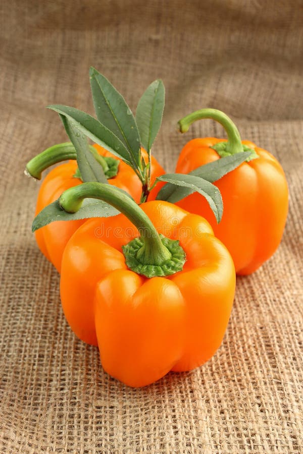 Red sweet pepper stock image. Image of food, green, healthy 30033977