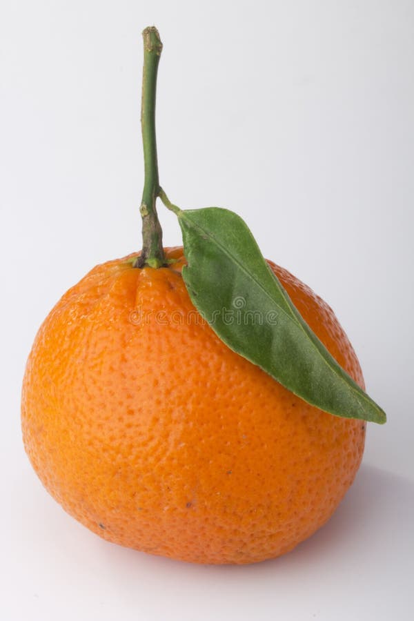 Orange Tangerine stock image. Image of juice, color, agriculture 18707419