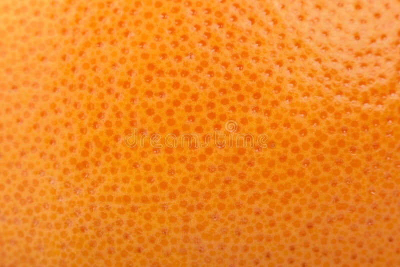 Orange Texture Fruit Background Citrus Skin Stock Image Image Of