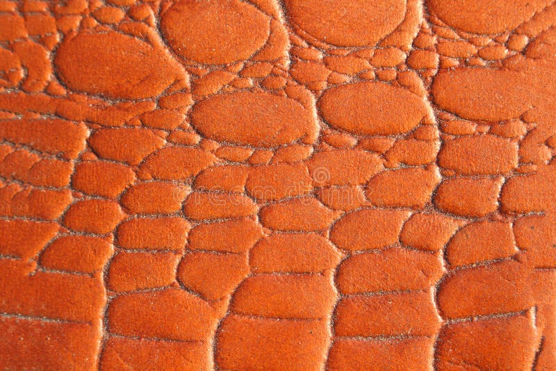 Orange Texture Leather Skin Stock Image Image of color, fashion 81843259