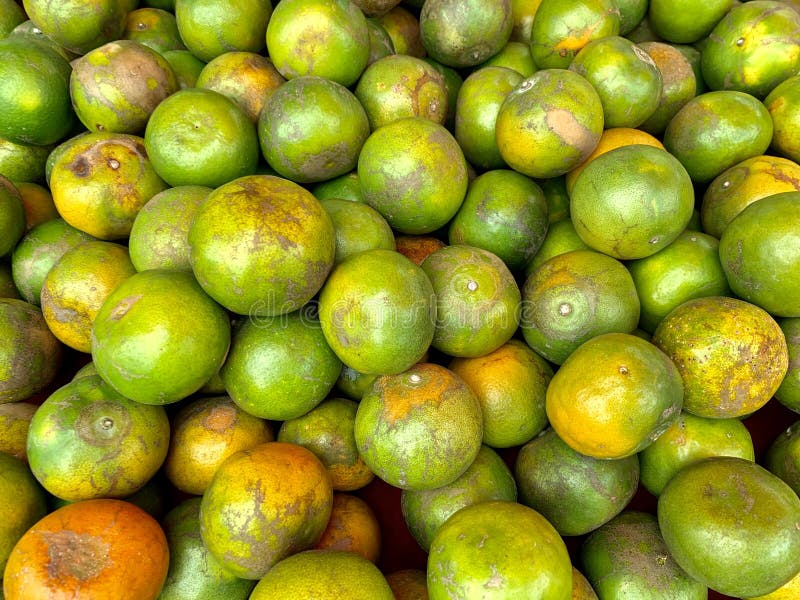 Orange thai royalty free stock images Orange thai royalty free stock images