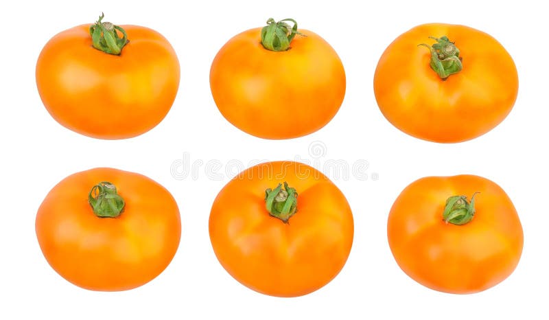 orange tomatoes