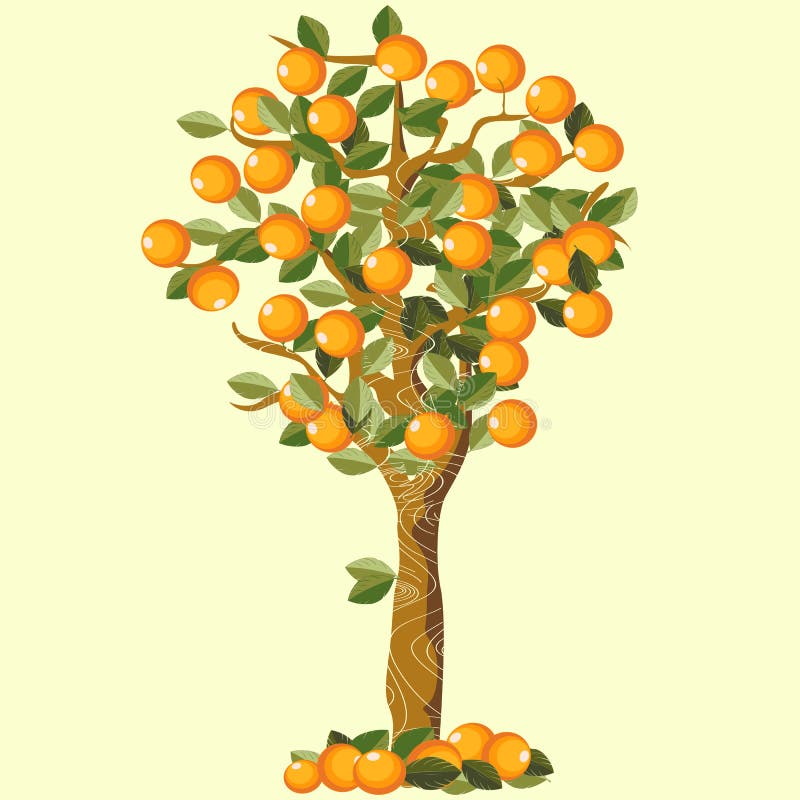 Orange Tree With Green Leaves Green Tree With Sweet Ripe Oranges The  Isolated Orange Tree With Mature Fruits On A White Background Stock  Illustration - Download Image Now - iStock