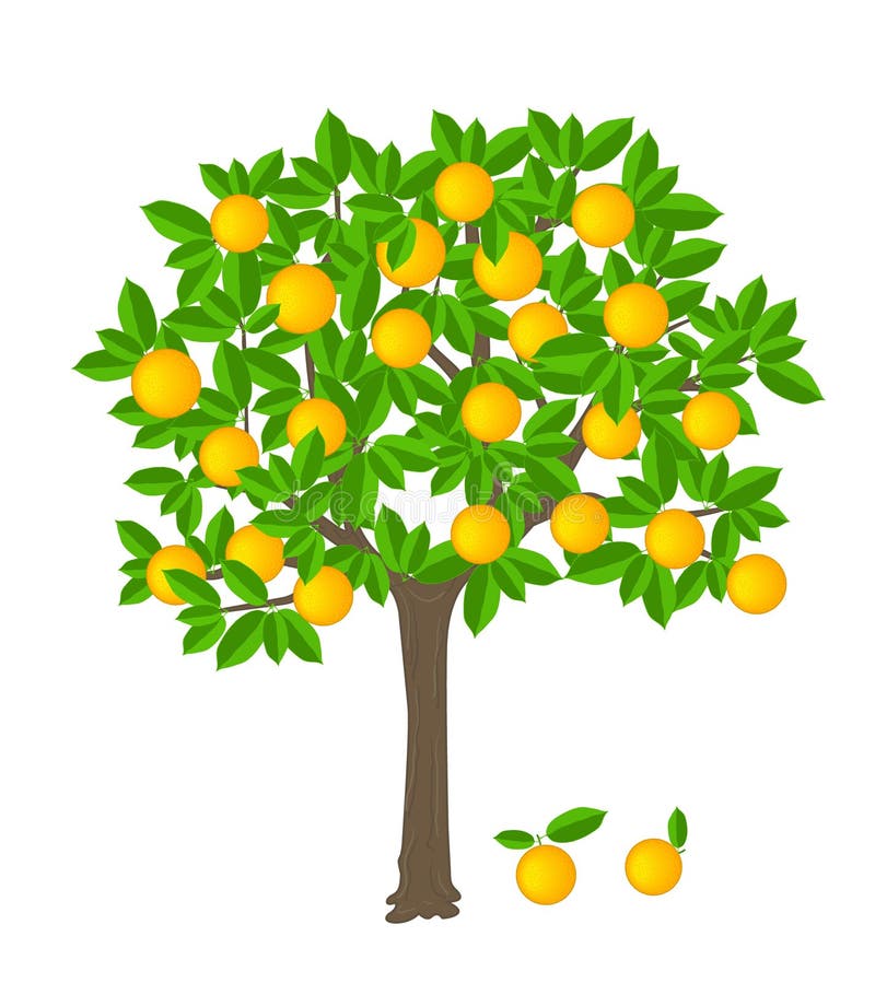 Orange Tree vektor illustrationer