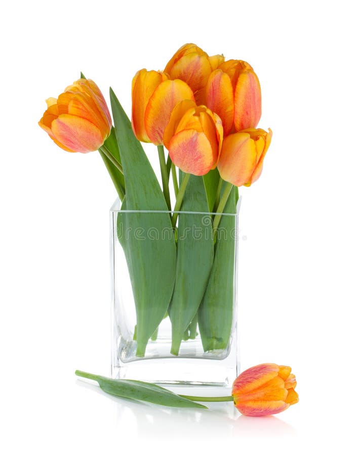 Orange Tulips in Flower Bowl Stock Image Image of celebration