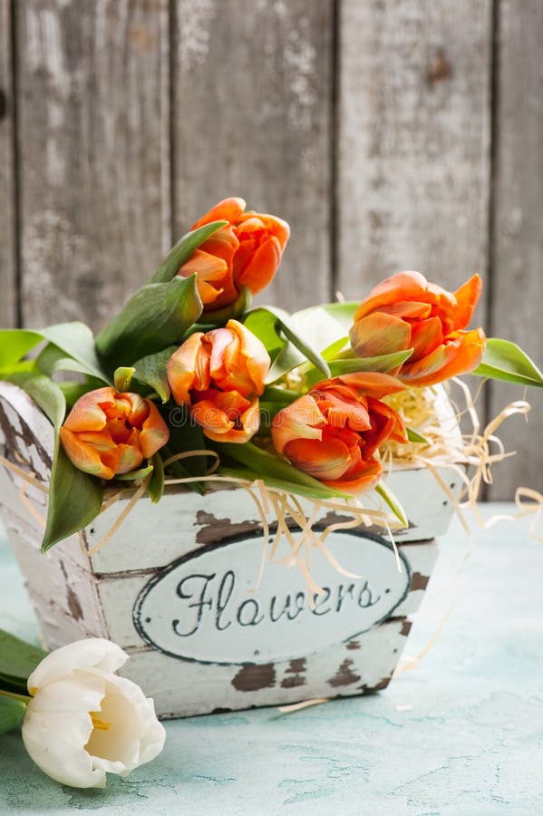 Orange tulips in wooden basket on rustic background royalty free stock images Orange tulips in wooden basket on rustic background royalty free stock images