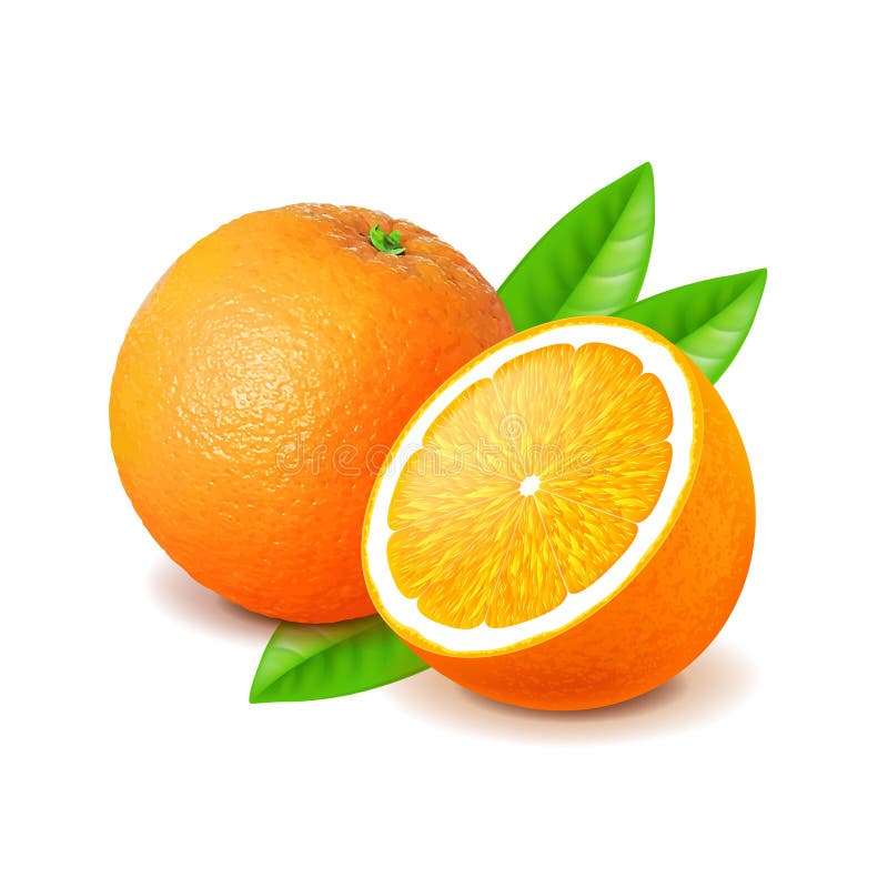 Orange und Scheibe auf weißem Vektor