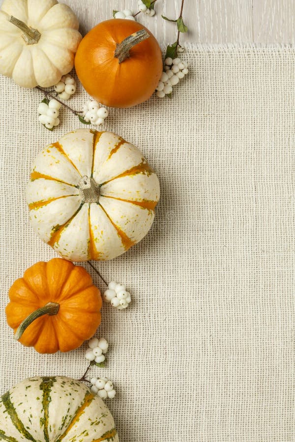 Orange and white decorative pumpkins on white burlap cloth background. Vertical image with copy space.