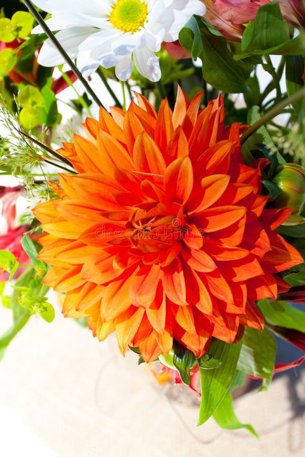 Orange and White Flowers stock photo. Image of wedding 28152706