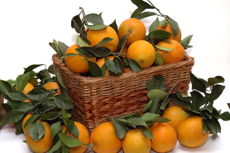 Oranges in the basket