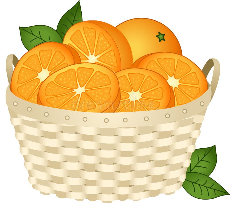 Oranges in basket stock vector. Illustration of summer 14906918
