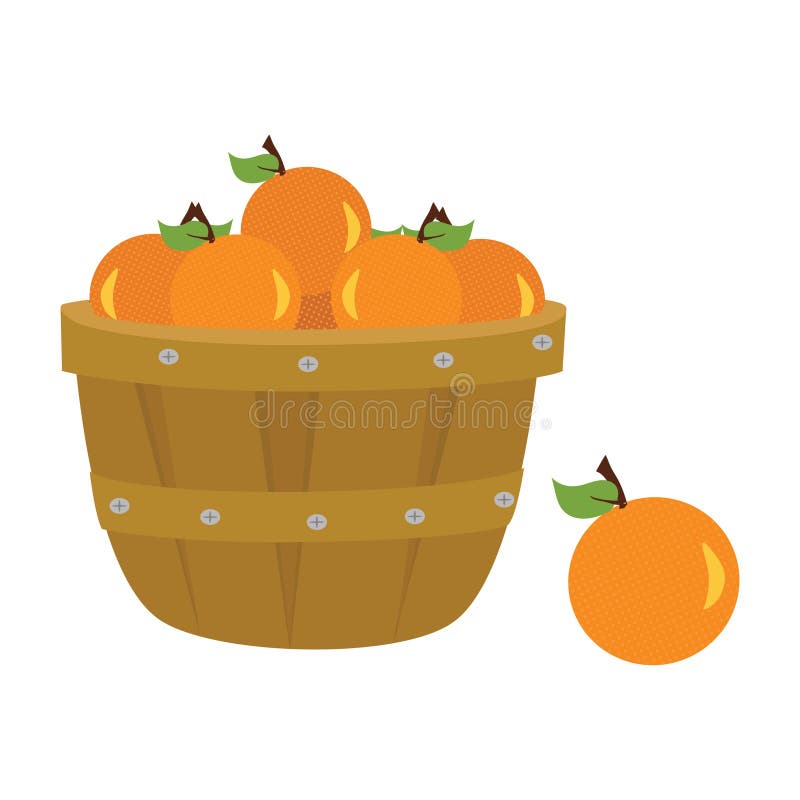 Oranges in basket stock vector. Illustration of summer 14906918