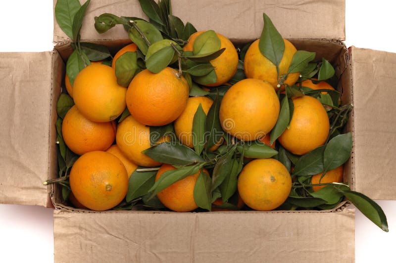 Oranges in the box