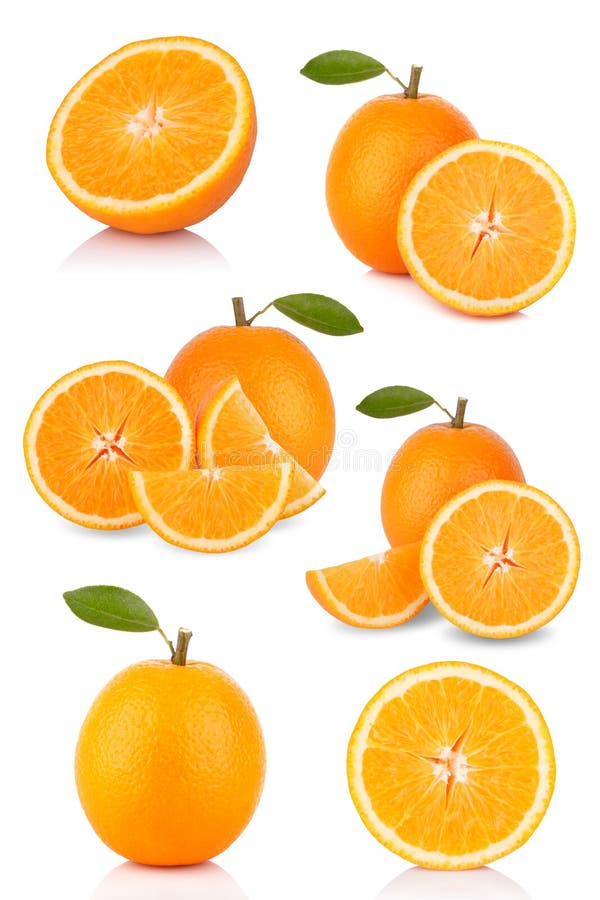 Oranges collection stock images Oranges collection stock images