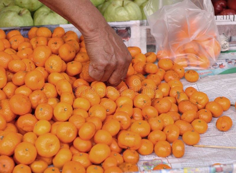 Oranges Fruits at the Market Stock Photo Image of textured, skin