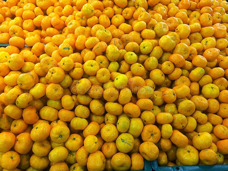 Oranges fruits stock image. Image of diet, harvest, juice 63789869