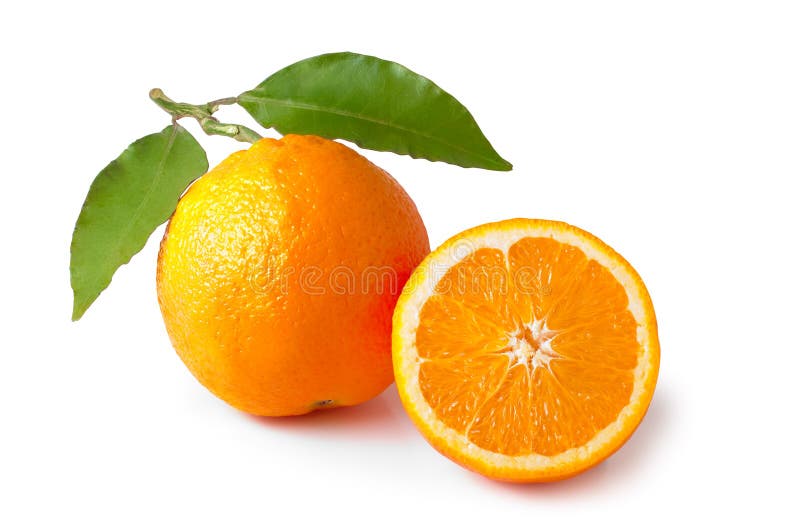 Oranges with leaves. stock image. Image of green, ripe 23555089