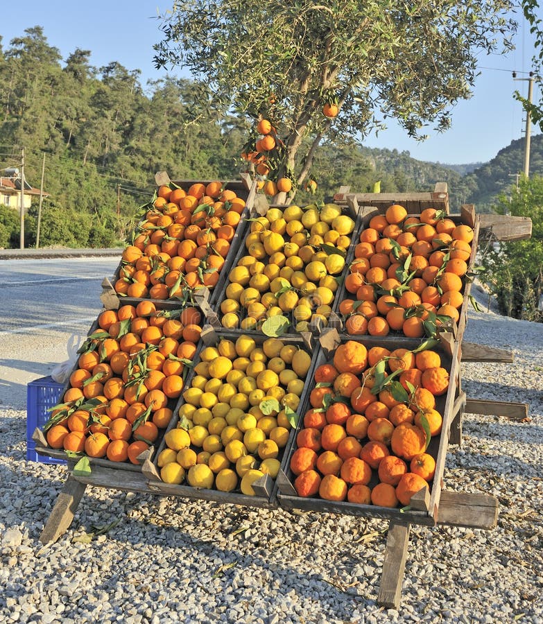 Oranges and Lemons for Sale Stock Image Image of stand, fresh 9376301