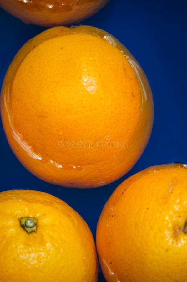 192 Mallorca Oranges Photos Free & RoyaltyFree Stock Photos from