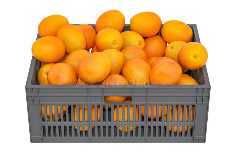 Oranges in the Plastic Crate, 3D Rendering Stock Illustration