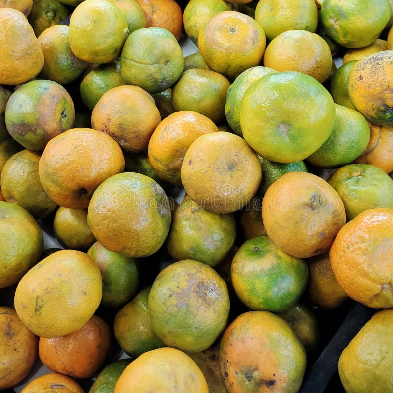 Oranges are Rich in Vitamin C Stock Photo Image of fruit, rich 276214202