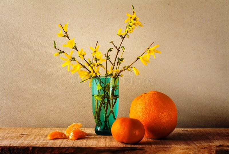 Oranges toujours de forsythia de jaune de bouquet de ressort de la vie photo stock Oranges toujours de forsythia de jaune de bouquet de ressort de la vie photo stock