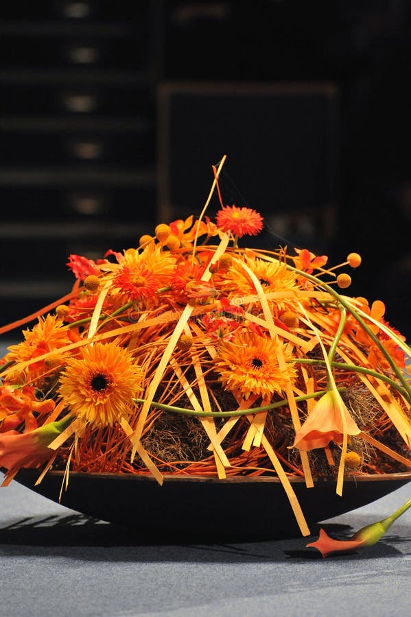 Oranje bloemen royalty-vrije stock foto's